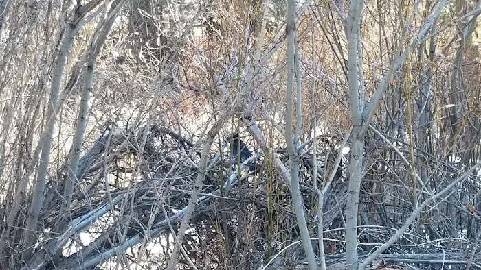 Coon Creek Snowmobile Route 1N02 (recgovnpsdata) Picture 10