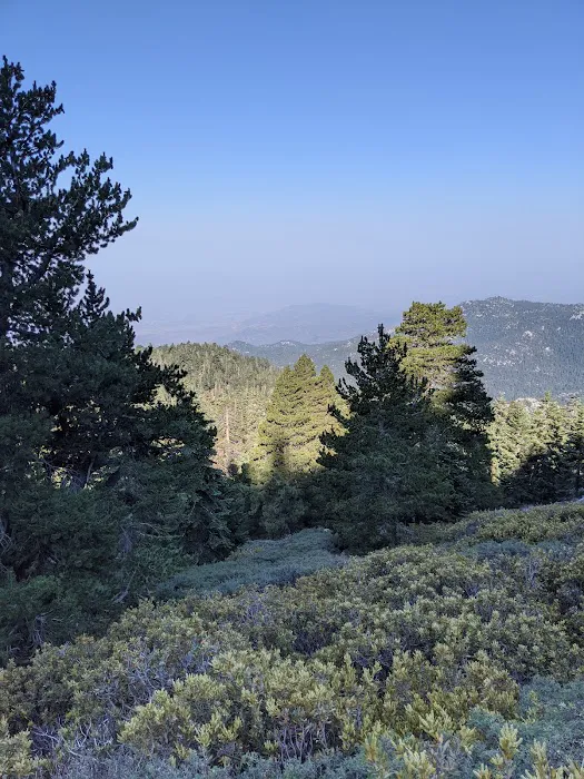 Little Round Valley Campground Picture 1