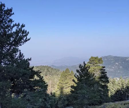 Little Round Valley Campground