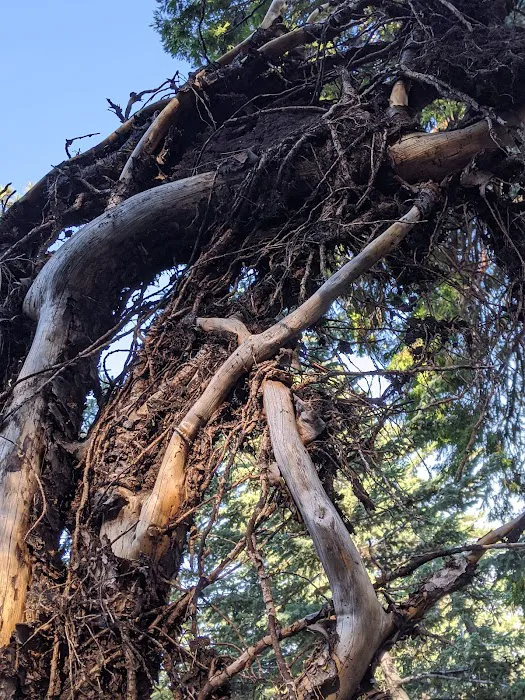 Little Round Valley Campground Picture 7