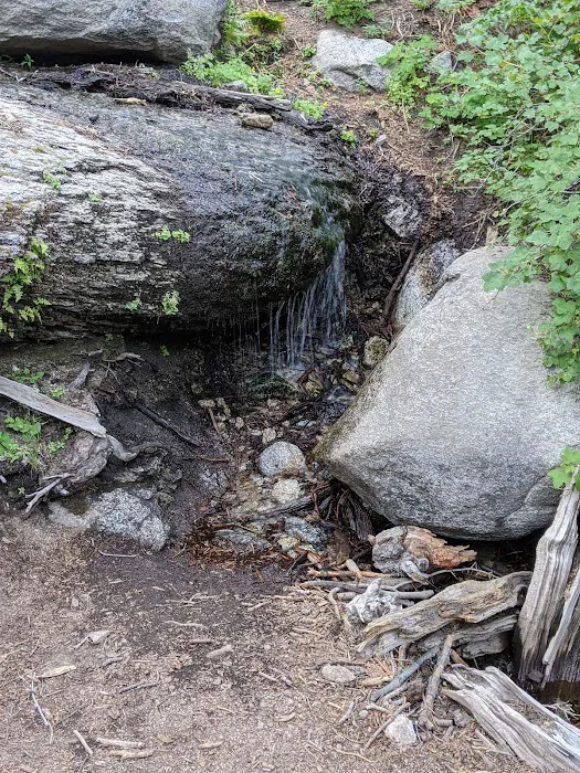 Little Round Valley Campground Picture 10