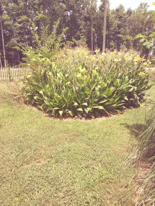 Forest Park Mobile Homes Picture 2