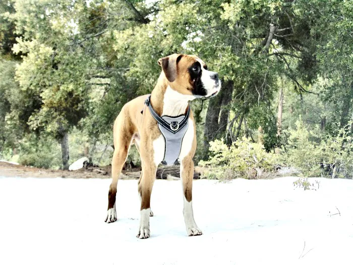 Strawberry Junction Campground Picture 4