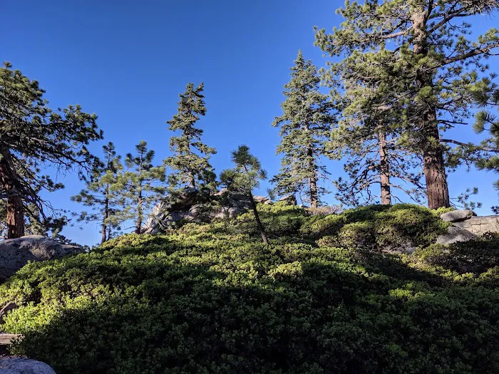 Strawberry Junction Campground Picture 9