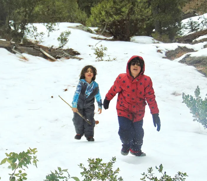 Strawberry Junction Campground Picture 8