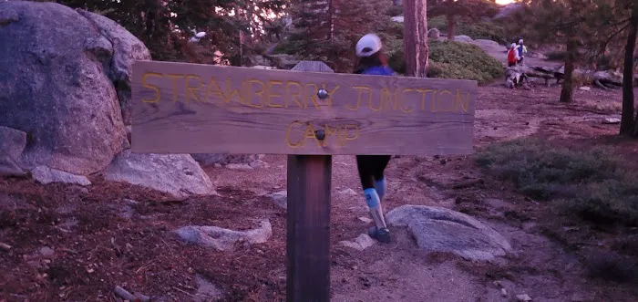 Strawberry Junction Campground Picture 5