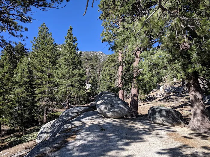 Strawberry Junction Campground Picture 10