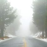 Strawberry Junction Campground