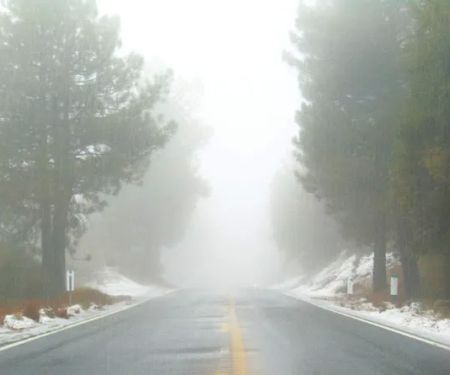 Strawberry Junction Campground