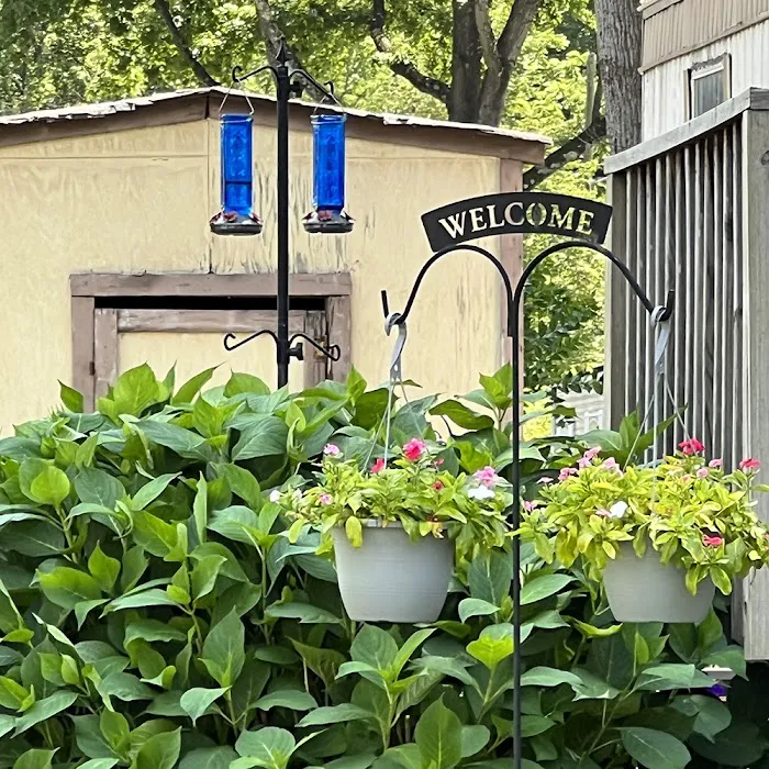 Cato Homes Picture 7