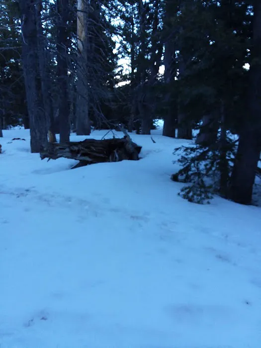 Round Valley Campground Picture 1