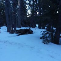 Round Valley Campground ico