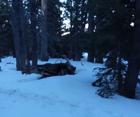 Round Valley Campground