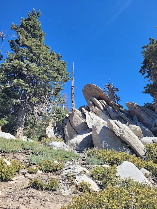 Round Valley Campground Picture 6