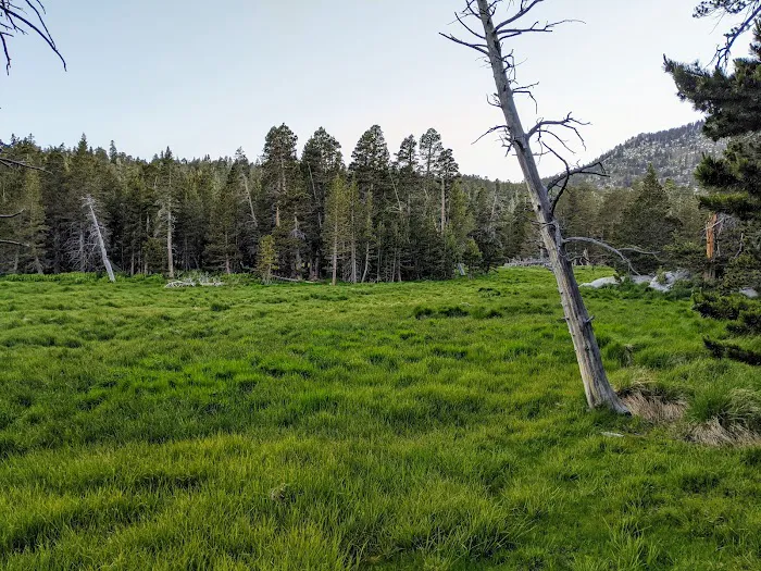 Round Valley Campground Picture 10