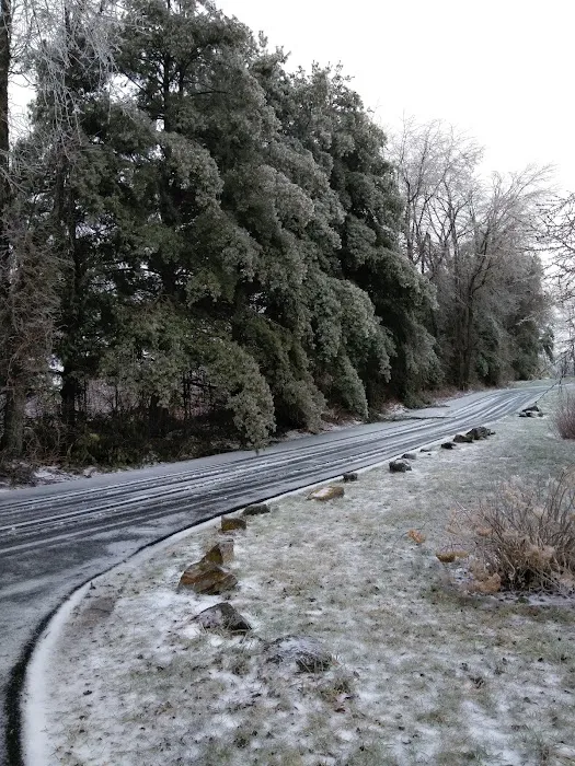 Lee Highway Court Picture 2