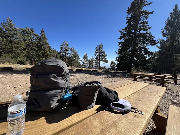 Cook Creek Campground Picture 1