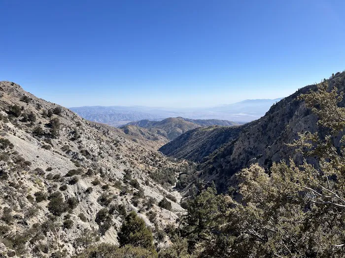 Cook Creek Campground Picture 6