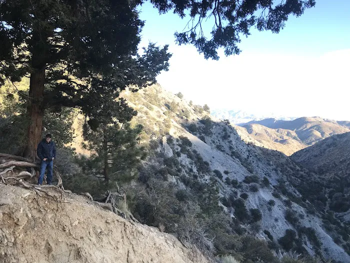 Cook Creek Campground Picture 3