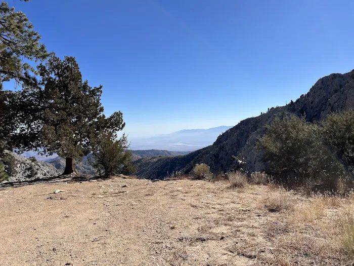 Cook Creek Campground Picture 2