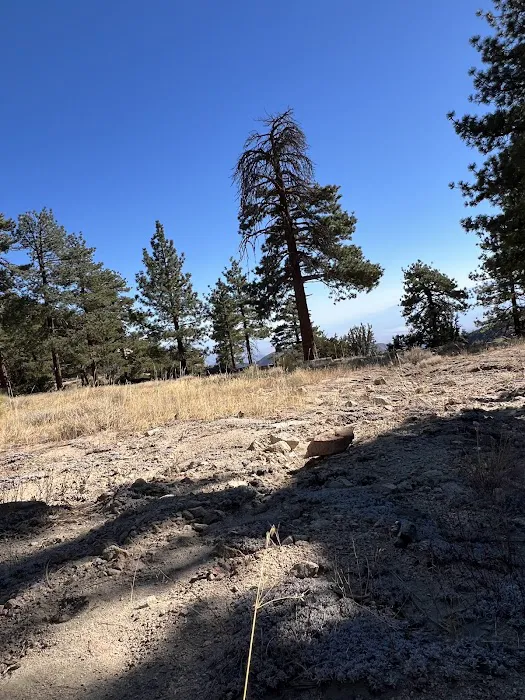 Cook Creek Campground Picture 9