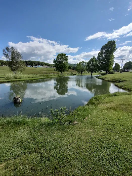 Fort Chiswell RV Park Picture 1