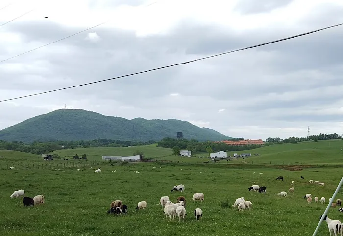 Fort Chiswell RV Park Picture 3