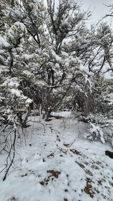 Sky Mountain Camp Picture 6