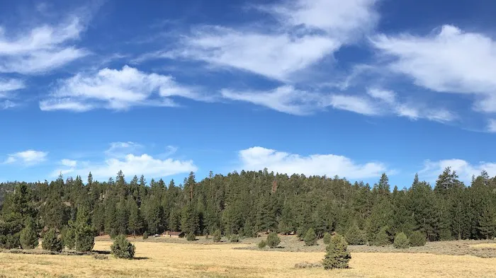 Sky Mountain Camp Picture 5