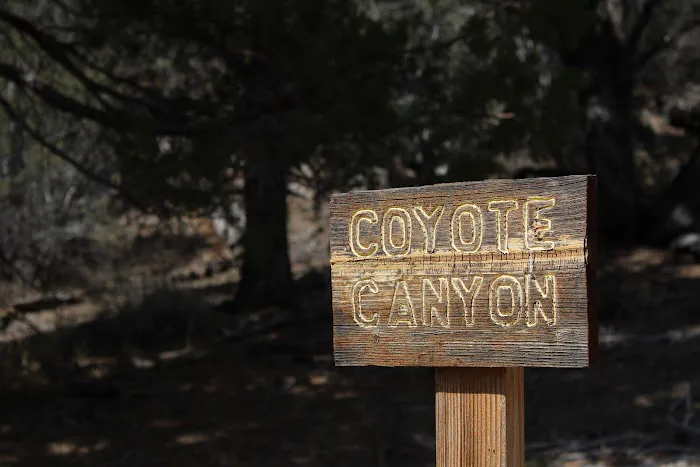 Sky Mountain Camp Picture 1