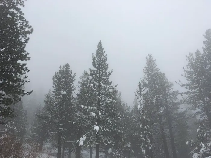 Sky Mountain Camp Picture 9