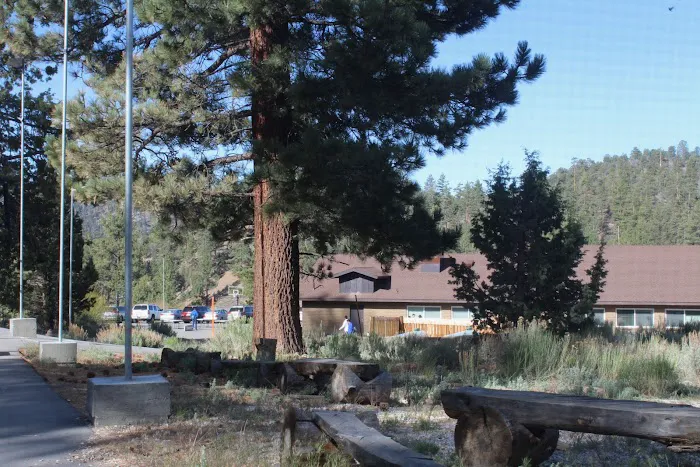 Sky Mountain Camp Picture 2