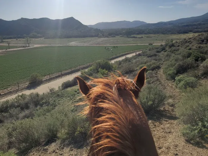 Sundance Meadows Picture 8