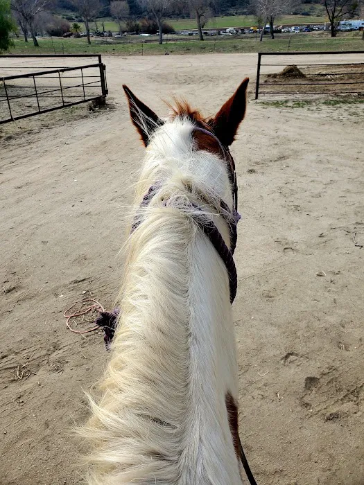 Sundance Meadows Picture 7