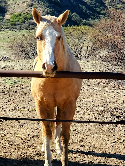 Sundance Meadows Picture 9