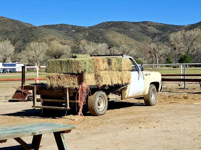 Sundance Meadows Picture 5