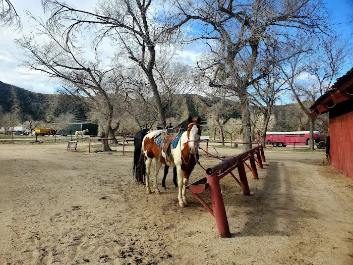 Sundance Meadows Picture 10