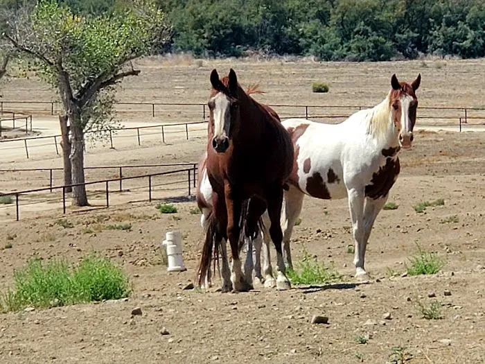 Sundance Meadows Picture 1