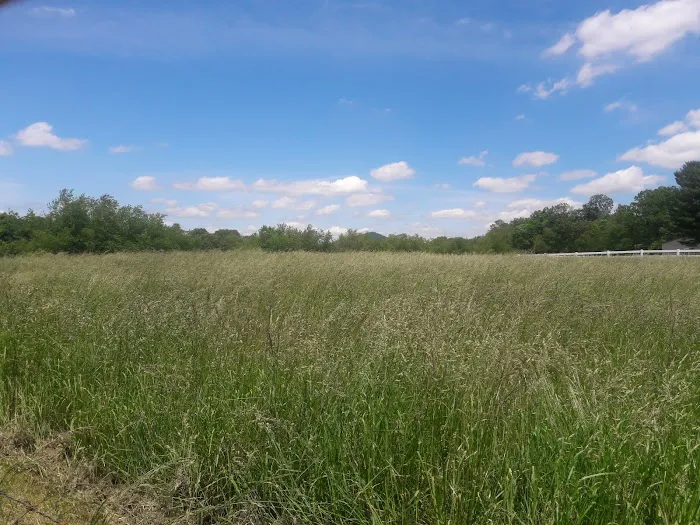 Wythe Mobile Home Park- Twin State Picture 2