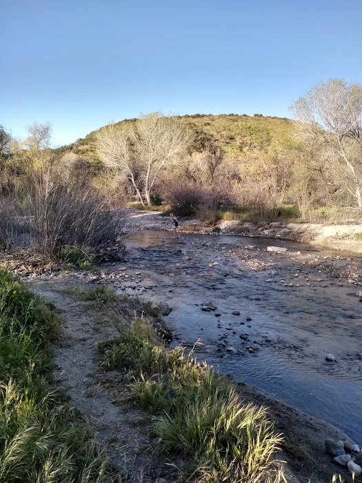 Temecula KOA at Vail Lake Picture 4