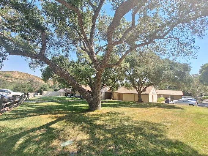 Vail Lake Resort Picture 7