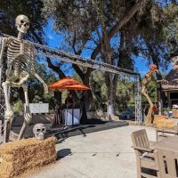 Vail Lake Resort ico