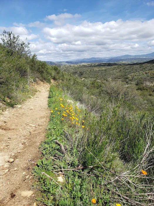 Dripping Springs Campground Picture 8