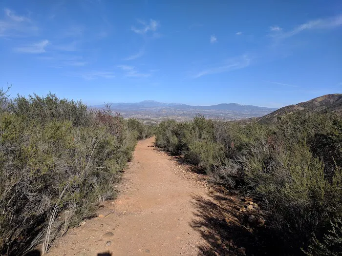 Dripping Springs Campground Picture 3