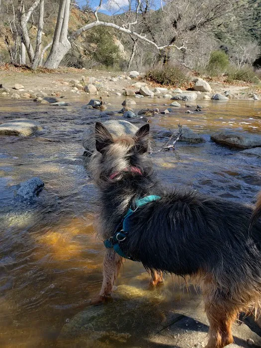 Dripping Springs Campground Picture 4