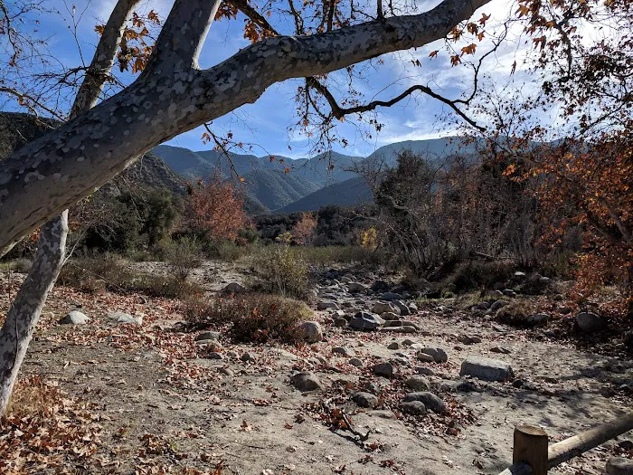 Dripping Springs Campground Picture 9