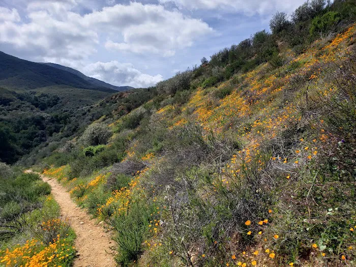 Dripping Springs Campground Picture 6