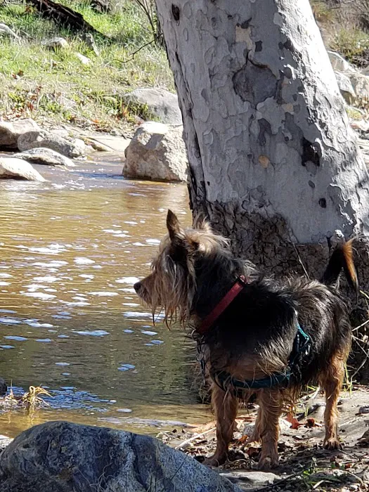 Dripping Springs Campground Picture 1