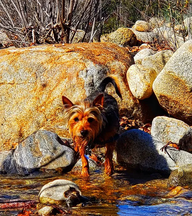 Dripping Springs Campground Picture 7