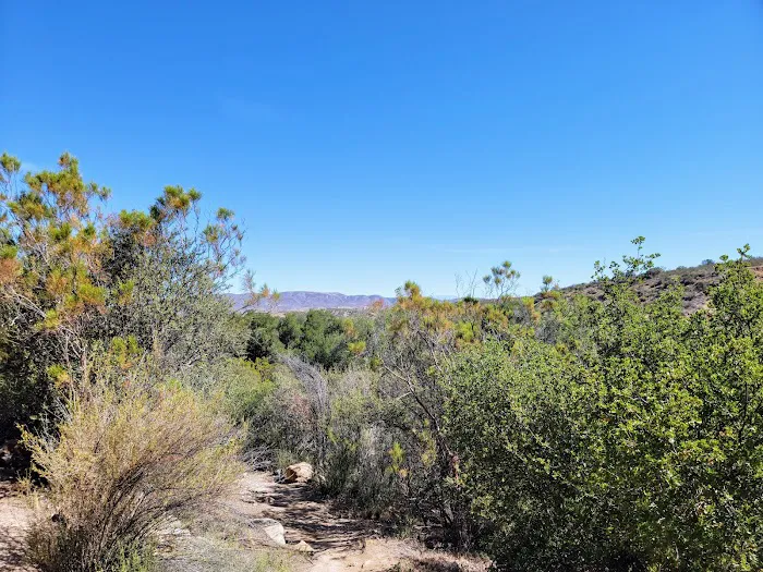 Dripping Springs Campground Picture 2